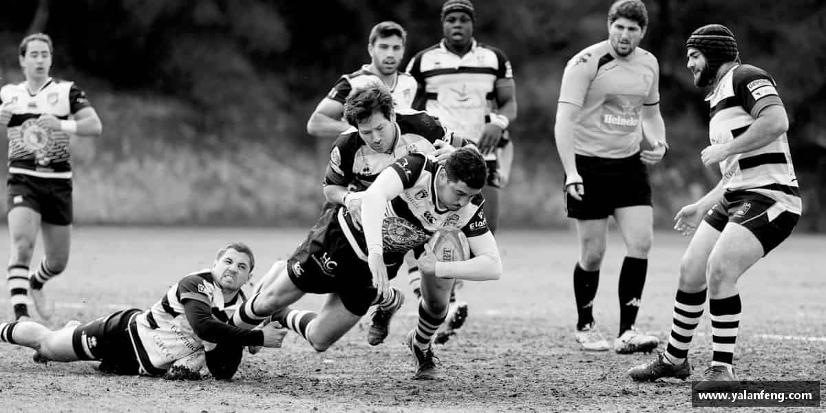 认识完美体育官方网站